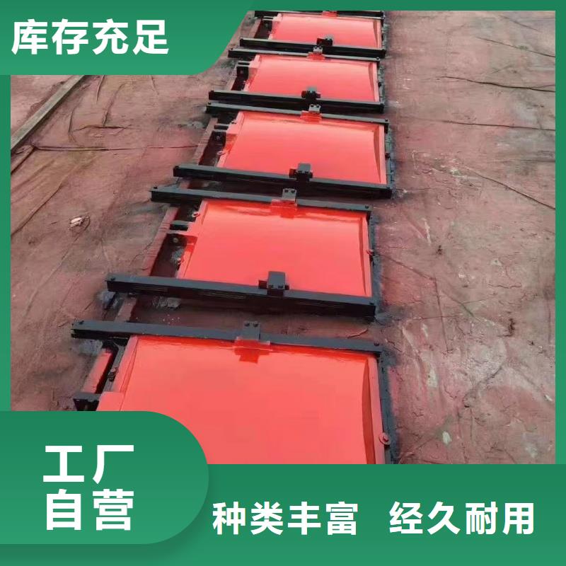 启闭机铸铁闸门订购找大品牌