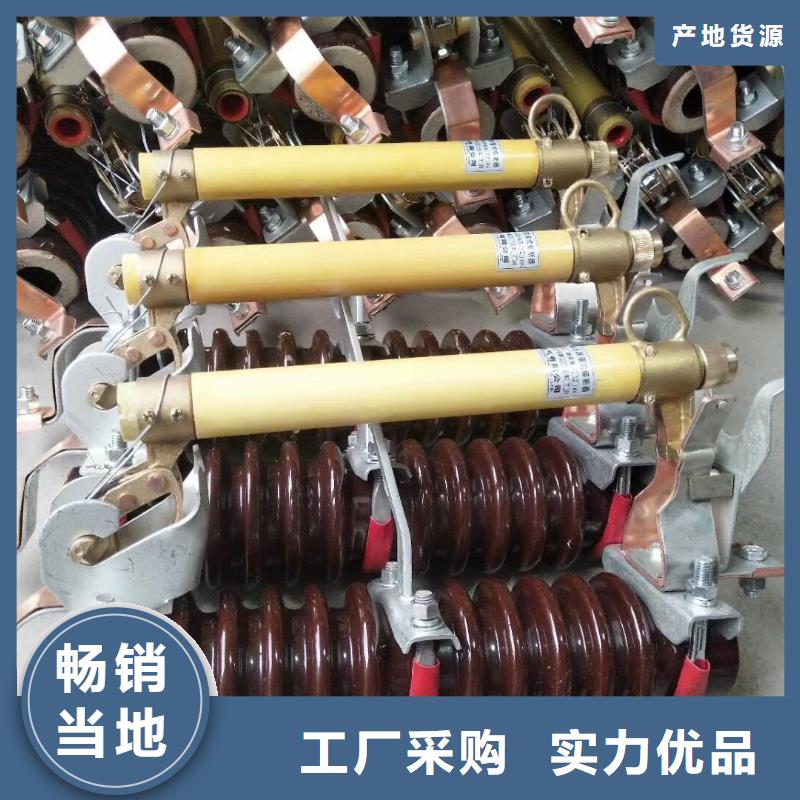 HRW12-10KV/100跌落式熔断器