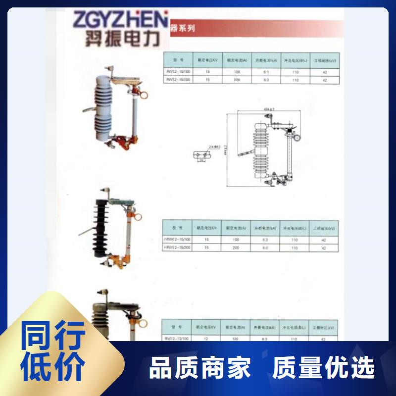 高压熔断器/RW3-10/100.