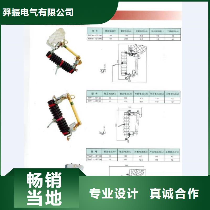 【高压熔断器】RW12-12/100A