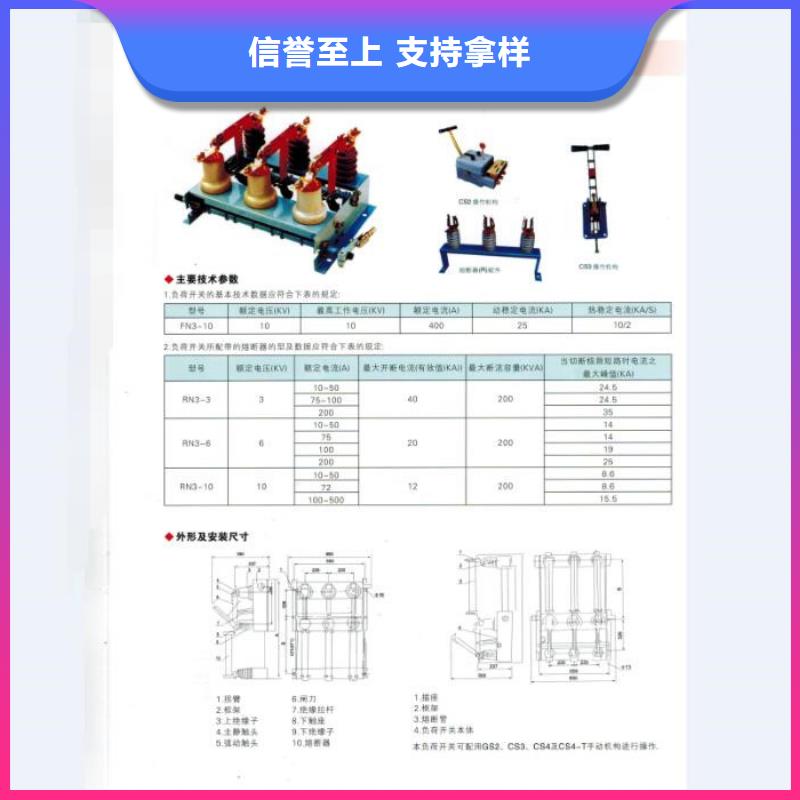 《跌落式熔断器》RW12-12F/100A