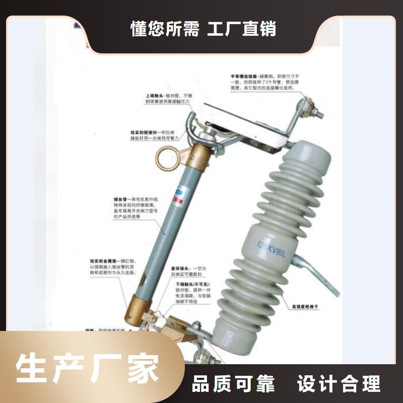 高压熔断器/RWJ-35/100A