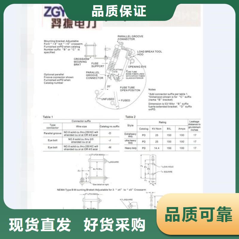 高压熔断器/RW6-63/100A