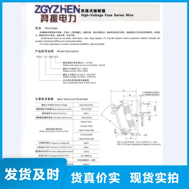 跌落式熔断器_RW12-10F/200A