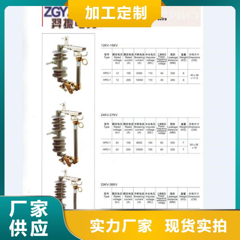 高压熔断器/RW12-24/200【浙江羿振电气有限公司】