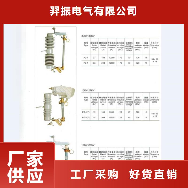 出口型瓷瓶跌落保险DG-2-15/200A..