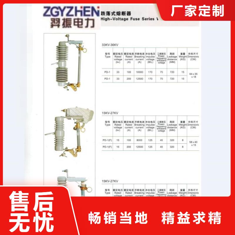 跌落式熔断器RW12-10/100A