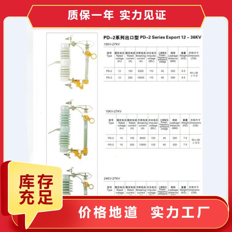 【熔断器/跌落保险】RW12-10KV/100A