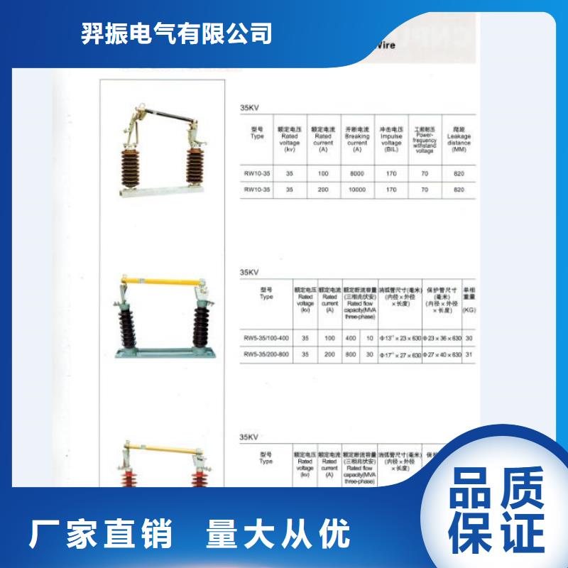 厂家推荐：高压熔断器/RW4-12KV/200