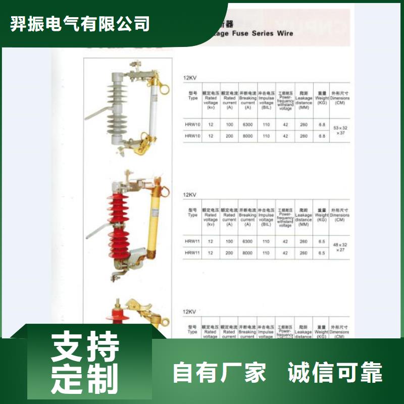 交流熔断器,AC24kV,100A,跌落式,复合材料