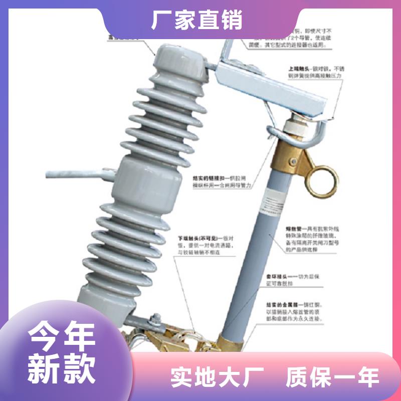 高压熔断器/RW5-63/200A