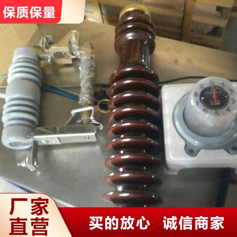 户外高压跌落式熔断器熔丝具RW12-12F/100A