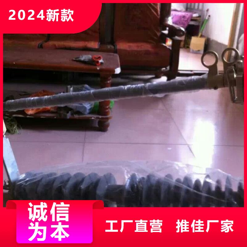 高压熔断器/RW6-63/100A