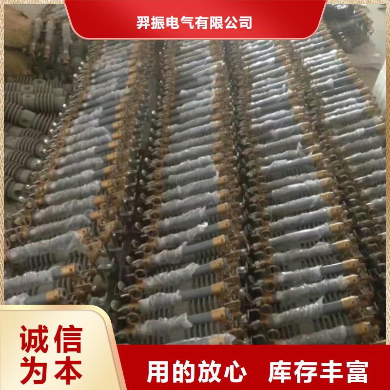 高压熔断器/RTF5-10KV/200