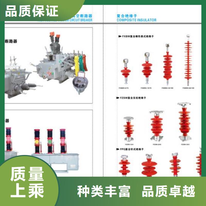 【高压隔离开关穿墙套管专业生产团队】