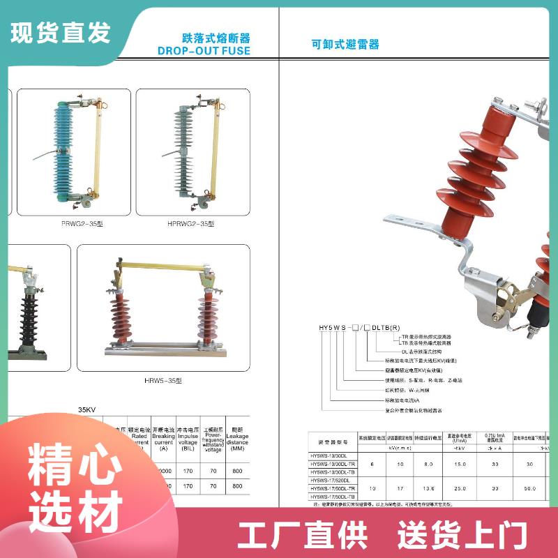 高压熔断器-PRW4-10/100A