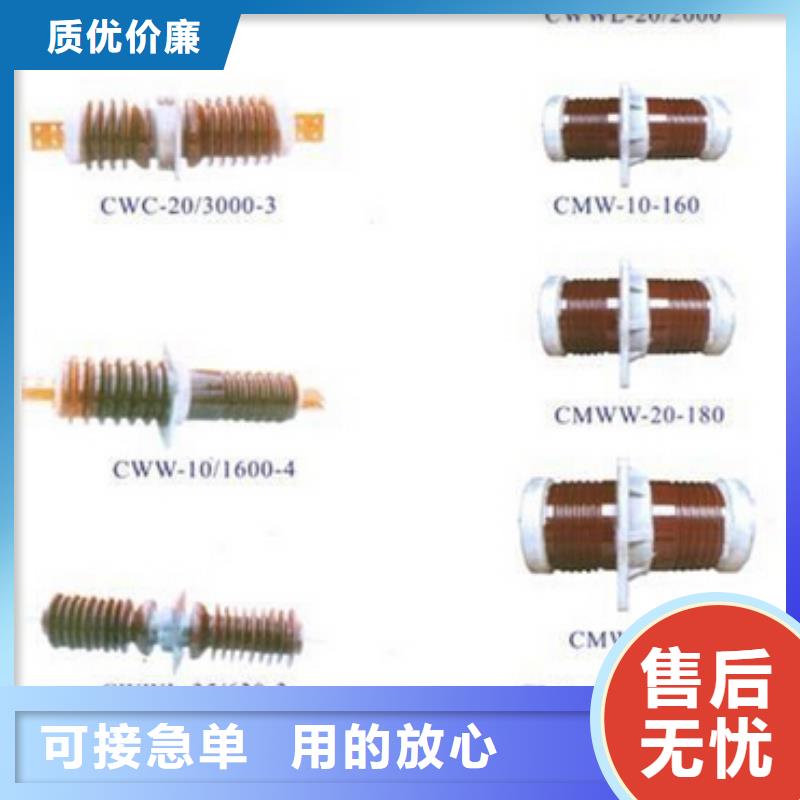 【高压穿墙套管】CWWL-10KV/630