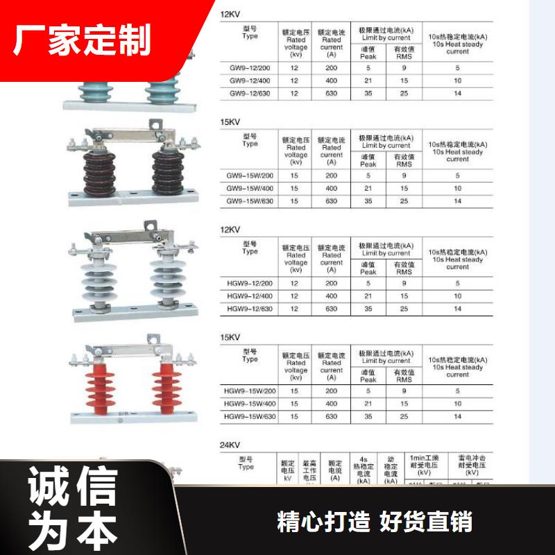 支柱绝缘子ZS-20/400