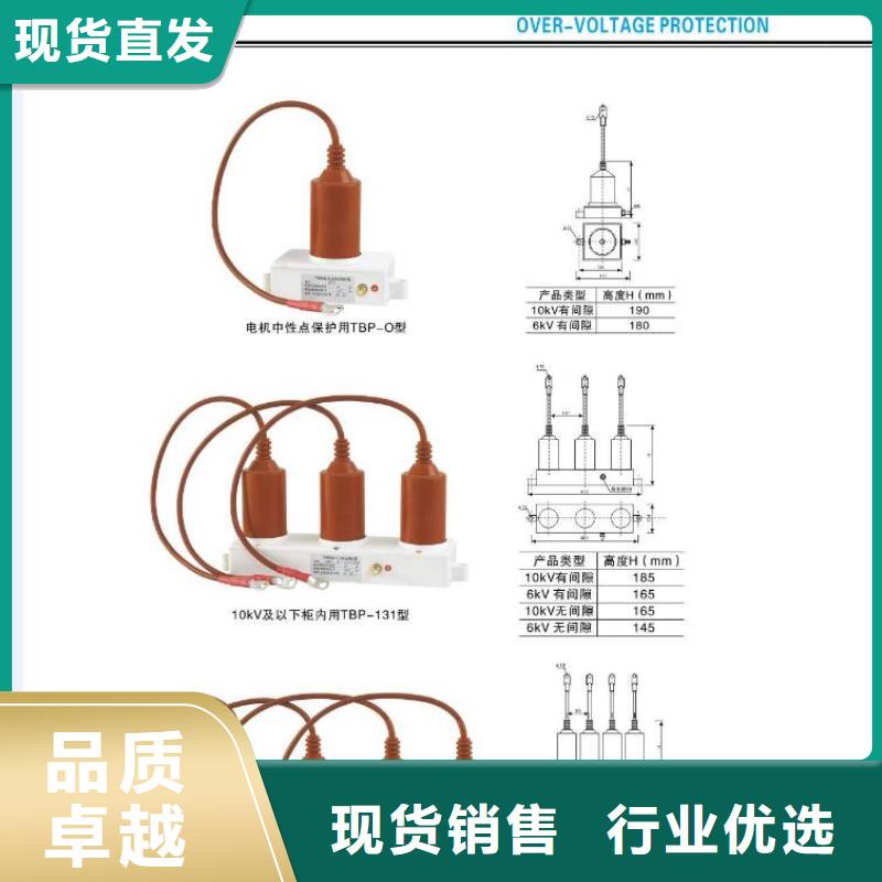 高压熔断器-PRW12-15KV/100A