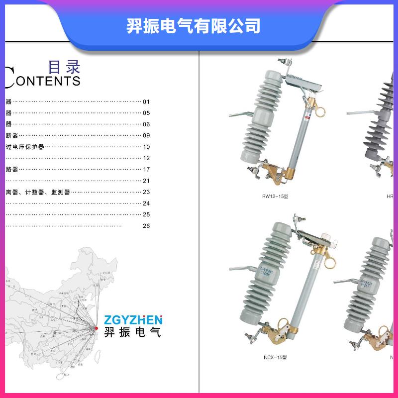 高压熔断器-RW10-12/100A-RW10-12/200A