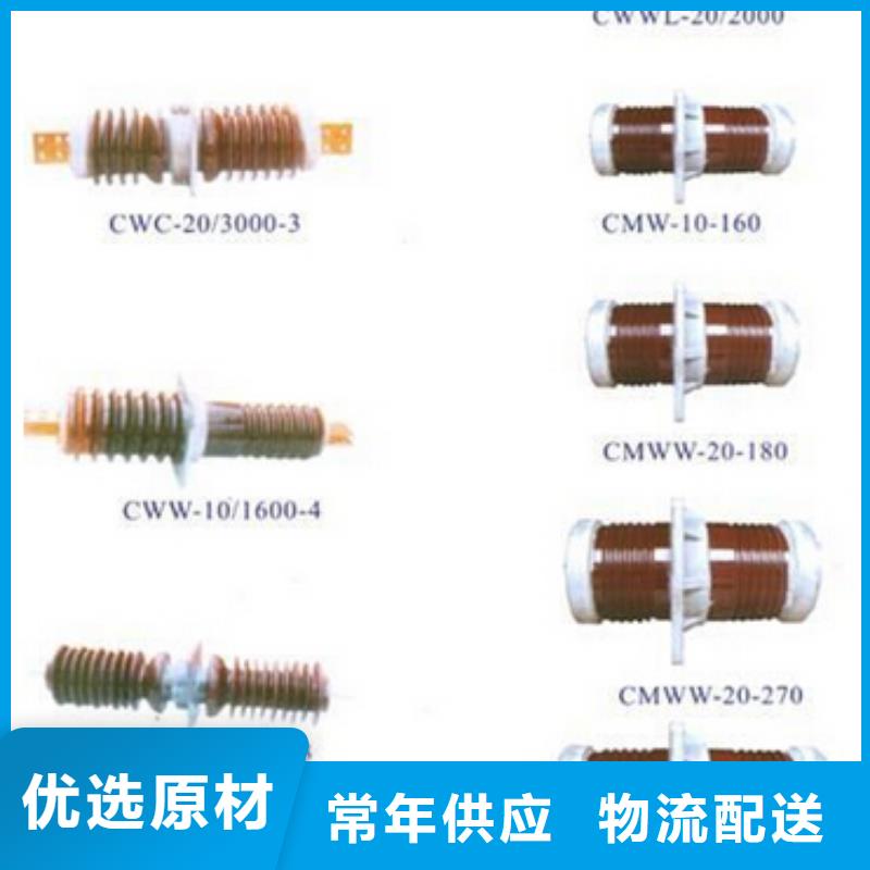 冷缩式电缆终端头10KVLSN-1/2