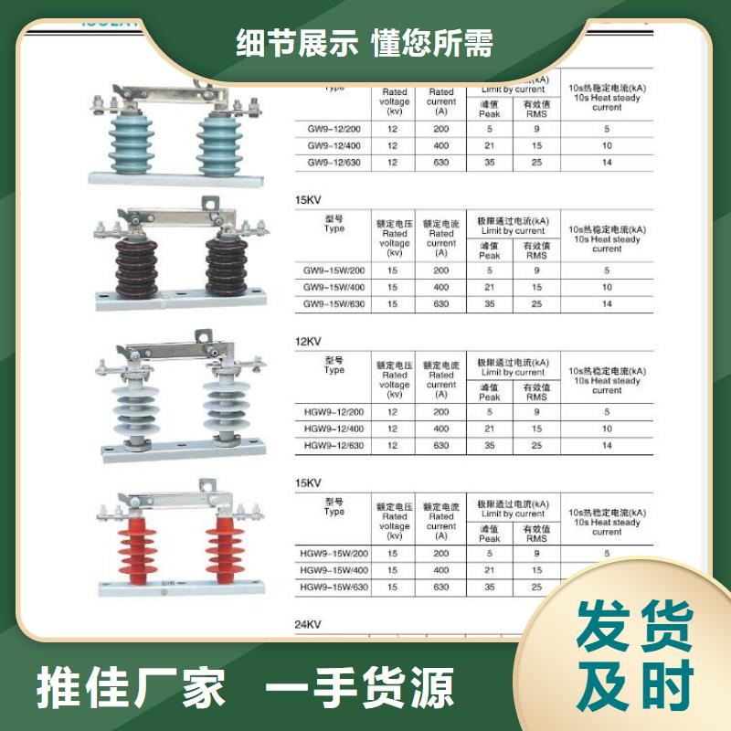 【高压隔离开关金属氧化物避雷器好品质用的放心】