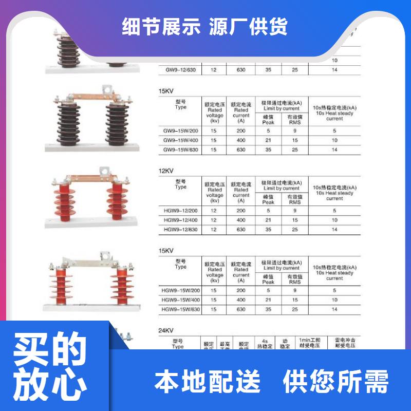 【高压隔离开关金属氧化物避雷器好品质用的放心】