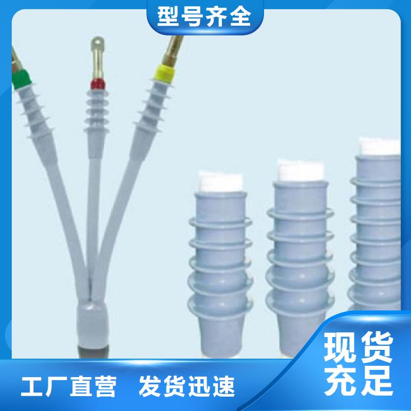 10KVLSN-1/2冷缩式电缆终端头