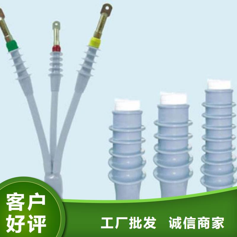 电缆中间接头RSJY-3/3-24KV