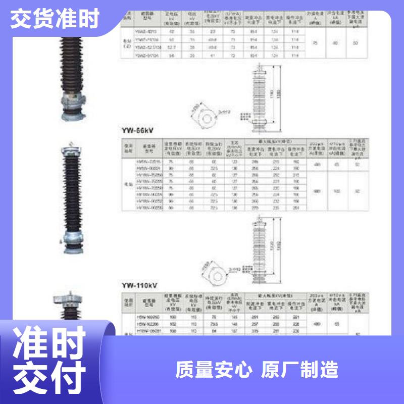 避雷器Y10W1-300/693(G)W【浙江羿振电气有限公司】