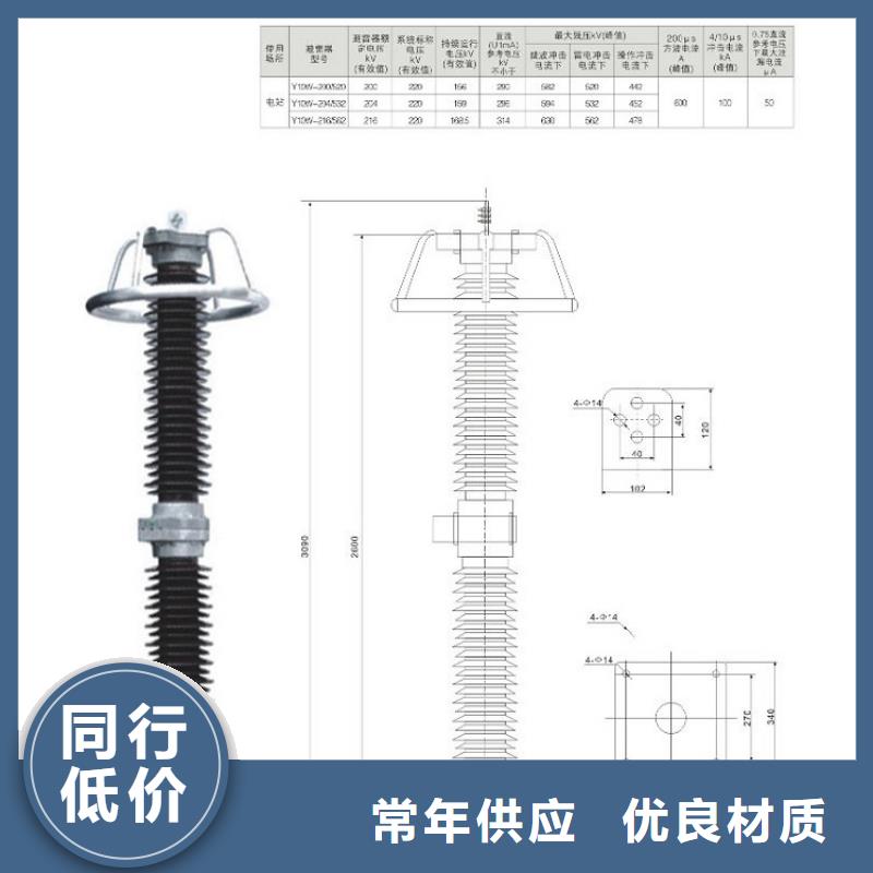 避雷器Y10W-200/496【浙江羿振电气有限公司】