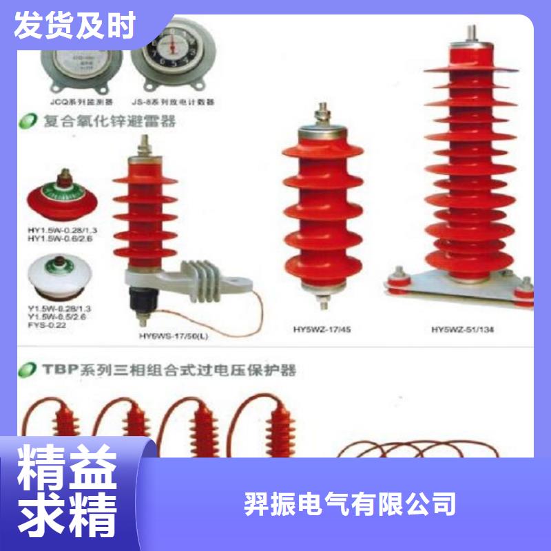 【羿振电气】避雷器YH5W5-51/134