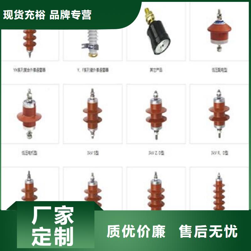 避雷器Y10W1-300/693(G)W【浙江羿振电气有限公司】