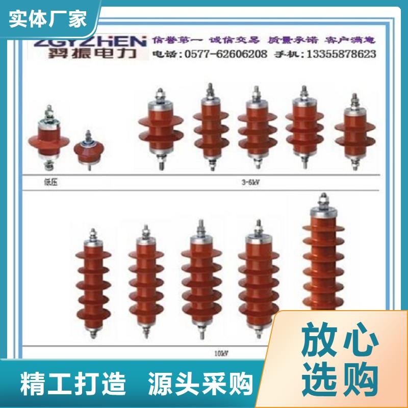 可卸式避雷器HY5WS-17/50TB-DL.