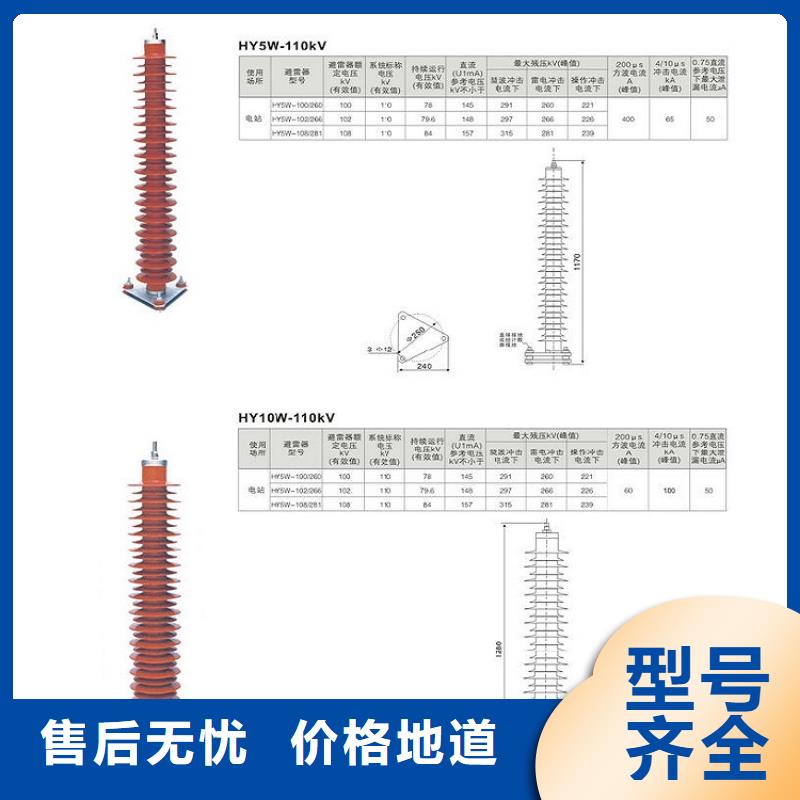 【羿振电气】避雷器YH5WZ-51/134TLQ底座式，带放电计数器