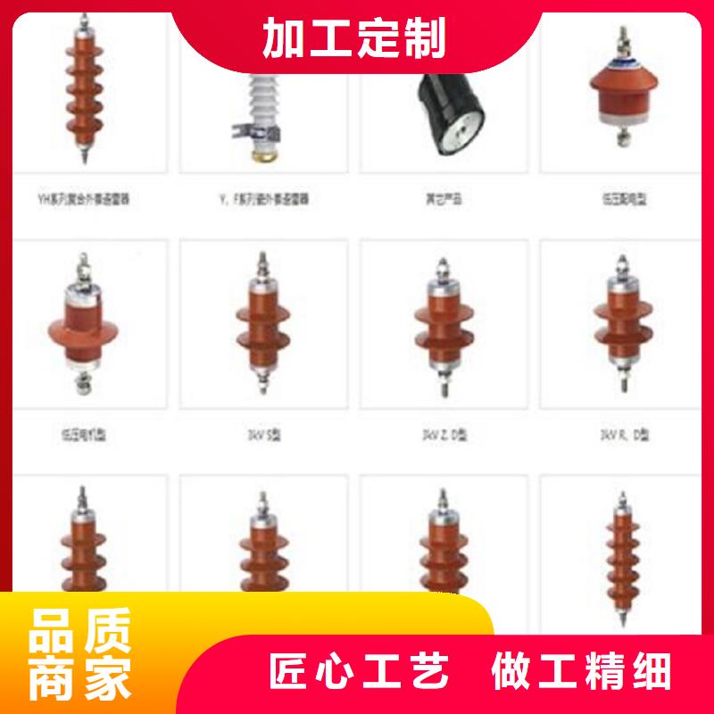 【羿振电气】避雷器YH5WZ-51/134TLQ底座式，带放电计数器