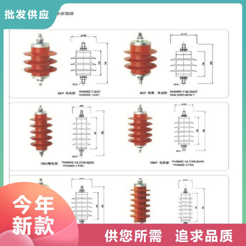 避雷器YH5WD-3.8/9.5【浙江羿振电气有限公司】