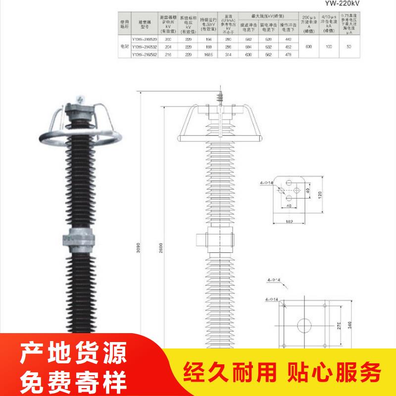 避雷器Y10W-102/266上海羿振电力设备有限公司