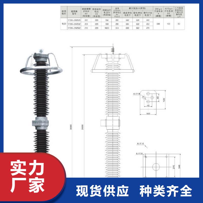 避雷器YH10CX-204/592J