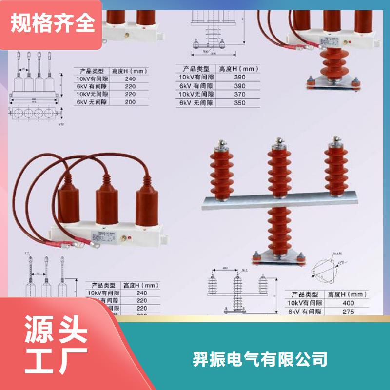 【组合式避雷器】TBP-C-12.7F/85-J