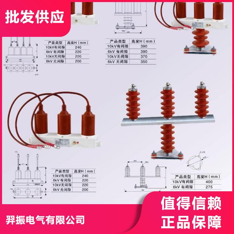 【组合式避雷器】TBP-C-10.5/131-J