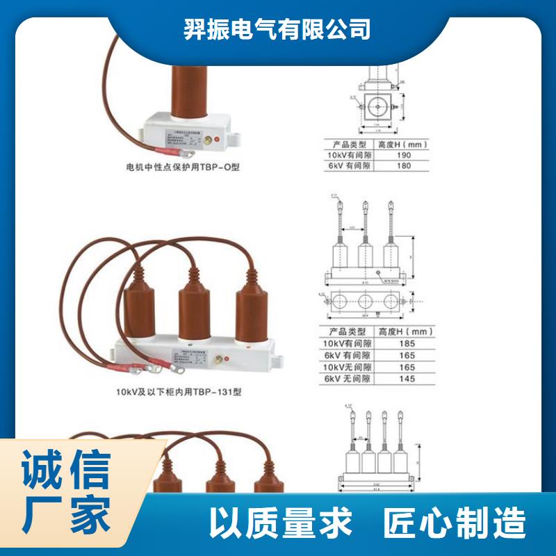 〖过电压保护器〗TBP-B-42F/400W实体厂家