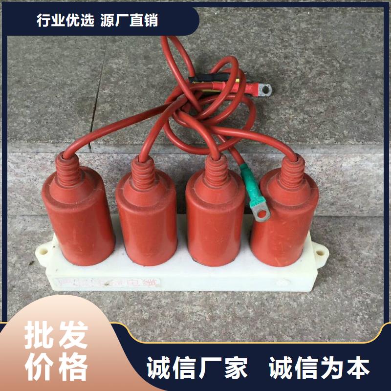 〖过电压保护器〗RTB-Z-35KV/300-N来电咨询