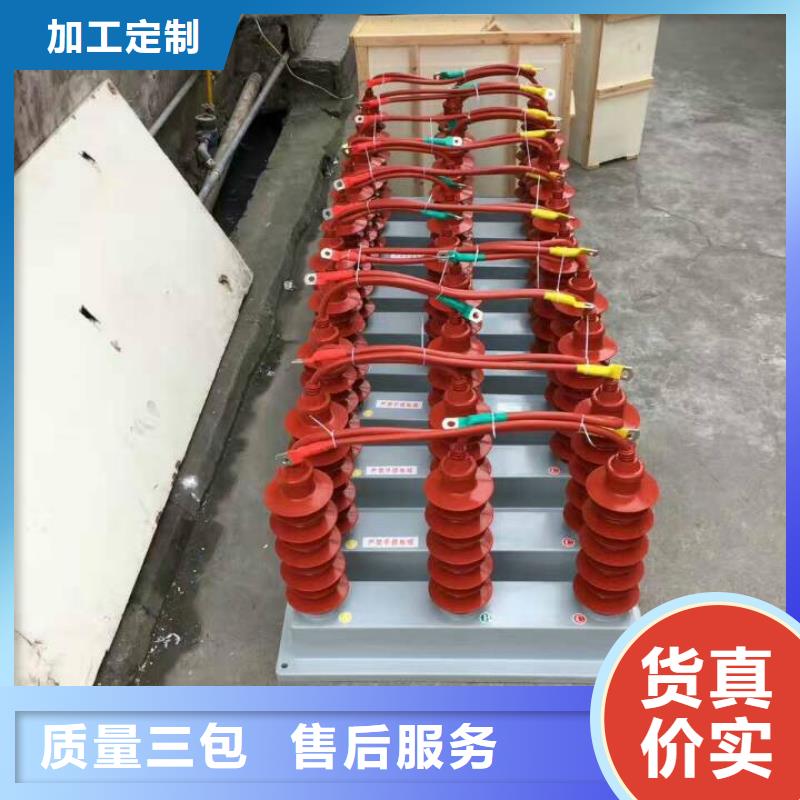 保护器(组合式避雷器)RTB-R-12.7KV/85-N