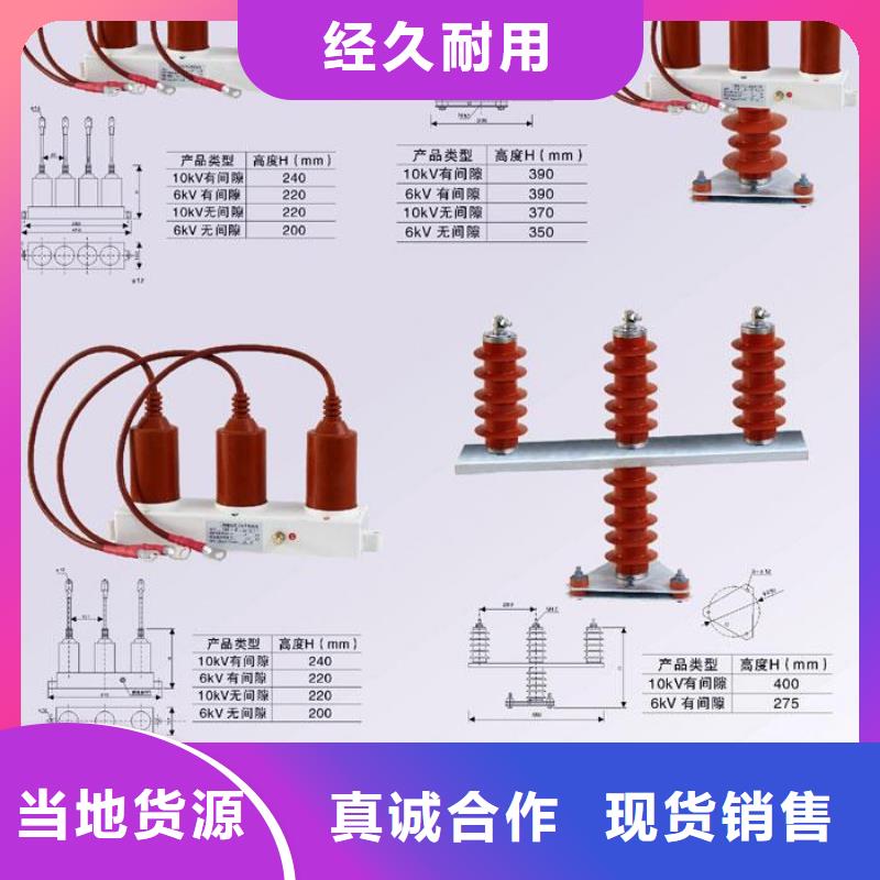 【组合式避雷器】TBP-C-12.7F/85-J