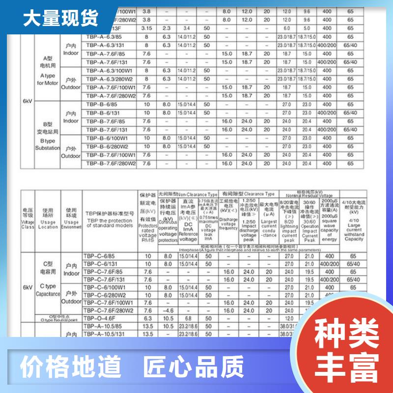 【组合式避雷器】TBP-C-42F/310