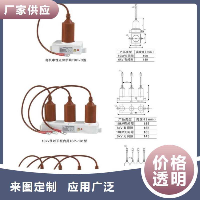 【羿振电力牌】过电压保护器TBP-C-10.5/131