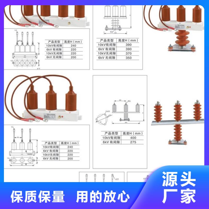 【组合式避雷器】TBP-B-42F/200