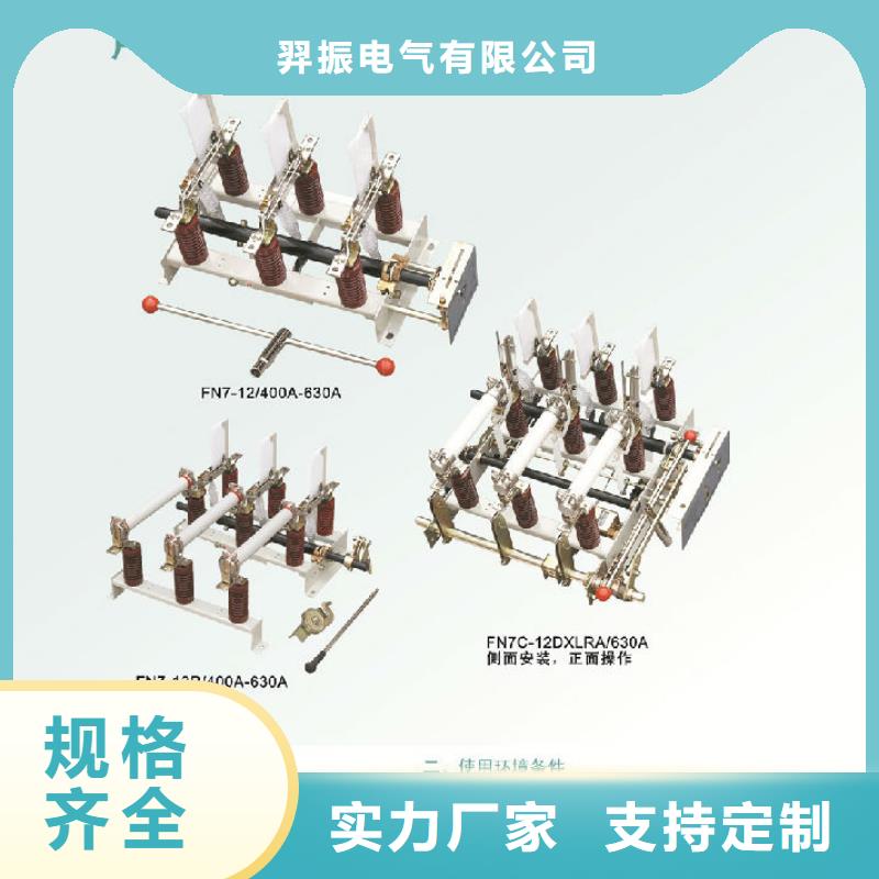 高压负荷开关FZN16-12R/125_