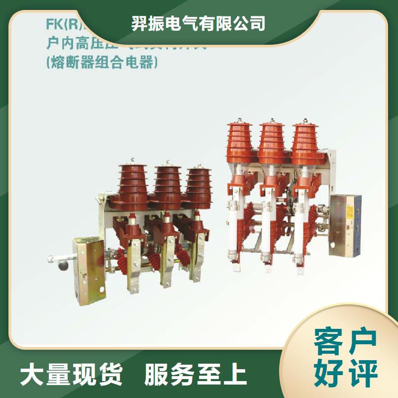 高压负荷开关FZRN21-10D/125-31.5_